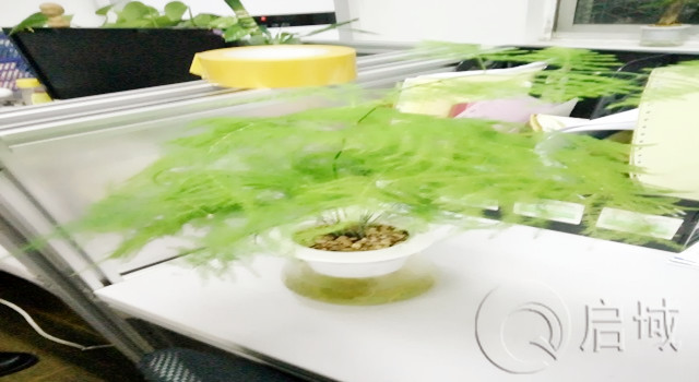 黄瓜免费视频APP金屬辦公室